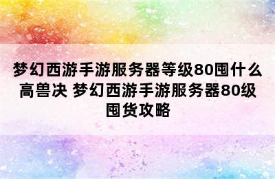 梦幻西游手游服务器等级80囤什么高兽决 梦幻西游手游服务器80级囤货攻略